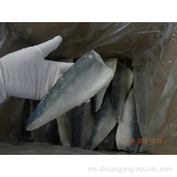 Fillet Ikan Mackerel Frozen Boneless dalam Vakum Dikemas